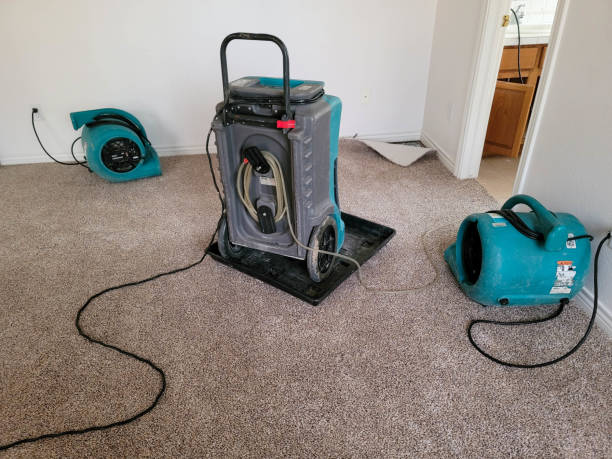Best Commercial water damage restoration  in Hoer, OK