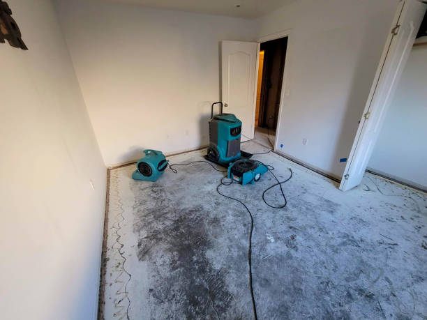 Best Emergency water damage restoration  in Hoer, OK