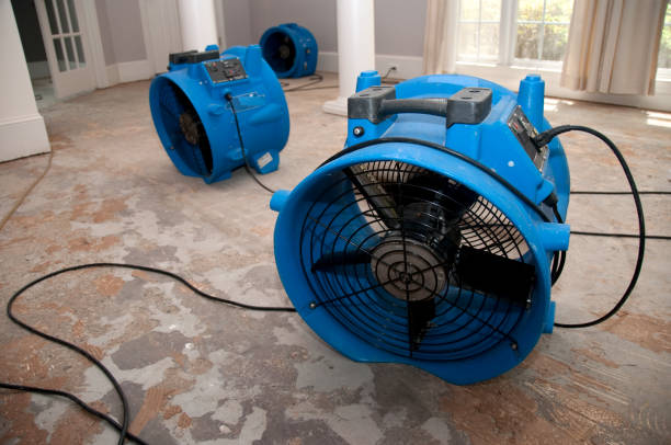 Best Professional water damage repair  in Hoer, OK