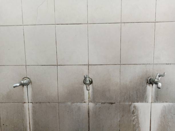 Best Flood restoration services  in Hoer, OK